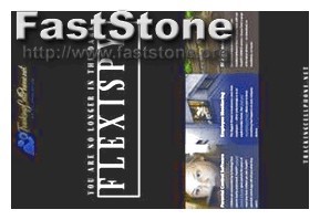 Flexispy Prueba Gratis